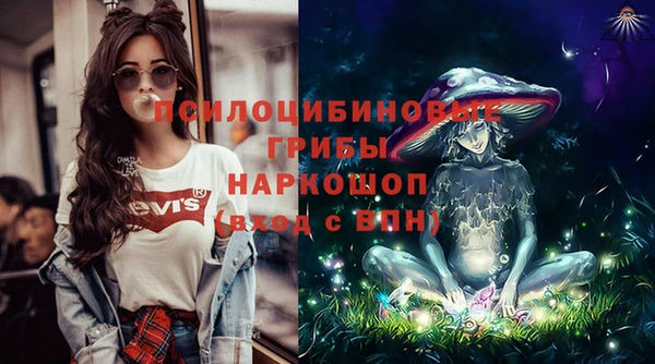 ГАЛЛЮЦИНОГЕННЫЕ ГРИБЫ Абаза