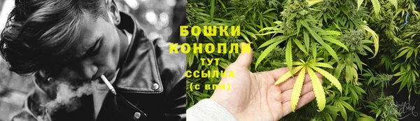 ГАЛЛЮЦИНОГЕННЫЕ ГРИБЫ Абаза