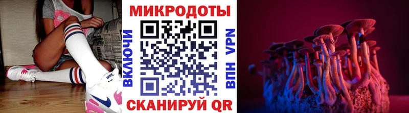 Галлюциногенные грибы мицелий  мориарти наркотические препараты  Россошь 