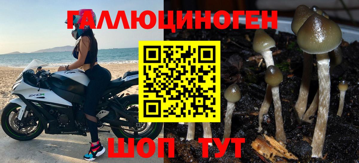 Россошь  Псилоцибиновые грибы MAGIC MUSHROOMS  Псилоцибиновые грибы Psilocybine cubensis  Вход с VPN 